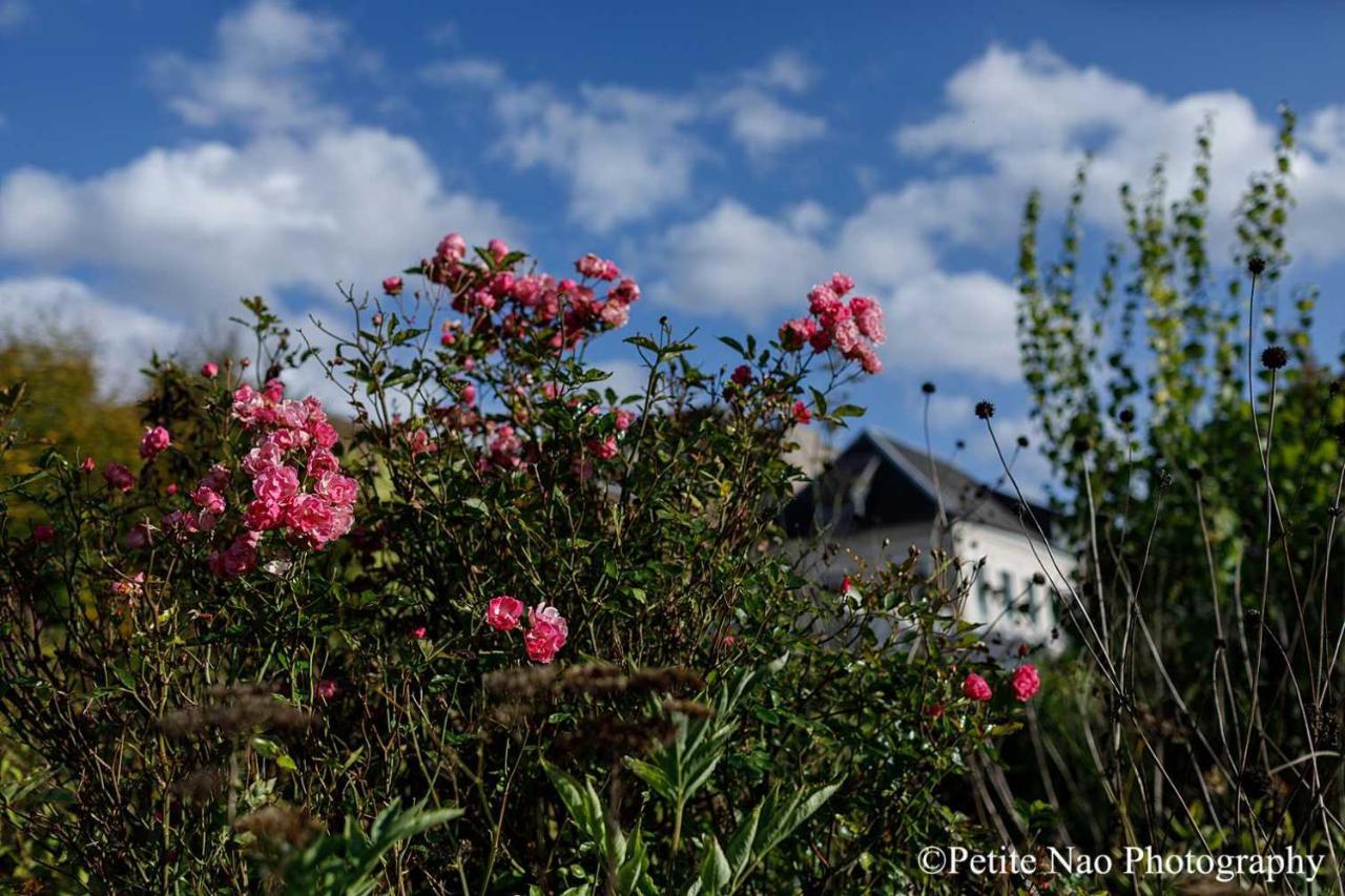 アブヴィル Au Jardin Des Deux Ponts Bed & Breakfast エクステリア 写真